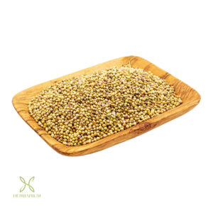 تخم گشنیز هرباریوم
