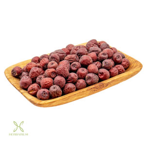 عناب ممتاز هرباریوم