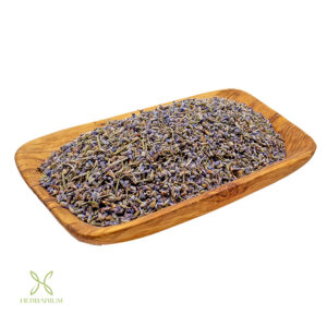 اسطوخودوس هرباریوم