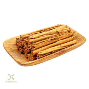 دارچین سیلان هرباریوم