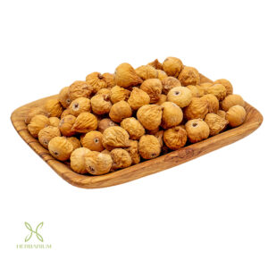 انجیر خشک محلی هرباریوم